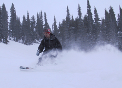 Whistler Powder